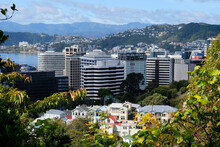 A View Of The Wellington City, Residential Houses, Office Blocks In CBD And Mt Vic In The Distance, Wellington, New Zealand, Aotearoa