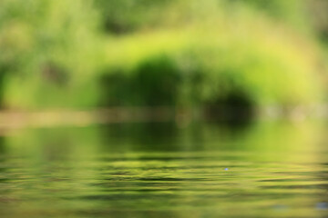 Wall Mural - water green eco background abstract