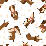Fototapeta Pokój dzieciecy - Dachshund seamless pattern with collars and medallions in various poses and bones in the background. Drawn in cartoon style. Vector illustration for designs, prints, patterns. Isolated on white