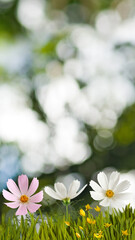 Wall Mural - beautiful flowers in the garden on blure background closeup