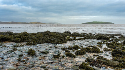 Wall Mural - Stream flowing into Balcary Bay, with salmon fishing nets in the background