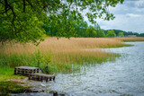 Fototapeta  - brzeg jeziora porośnięty przez trzciny i trawy