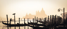 Romantic Italian City Of Venice, A World Heritage Site: Traditional Venetian Wooden Boats, Gondolier And Roman Catholic Church Basilica Di Santa Maria Della Salute In The Misty Background