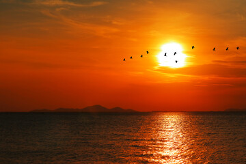 Wall Mural - sunset back on silhouette dark red orange cloud on the sky and bird flying