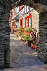 Wall Mural - Medieval European street through old archway with flowers and half timber houses, Rhine region, Germany