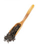 Wooden spoon with dry leaves black tea on isolated background