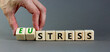 © Dzmitry - Eustress or stress symbol. Psychologist turns cubes and changes the concept word Eustress to Stress. Beautiful grey table grey background, copy space. Psychlogical stress or eustress concept.