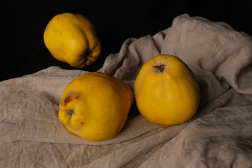 still life with ripe quince on fabric drapery