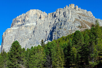 Canvas Print - Walk in the picturesque Dolomites