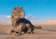 Giganotosaurus Is Resting Down On Sunset Desert With Copy Space