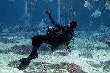A Scuba Diver Underwater Inside An Aquarium Posing For The Tourists