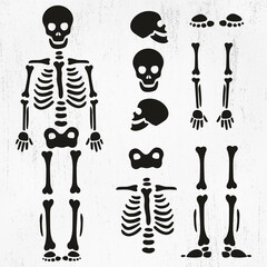 Skeleton SVG, Skeleton parts Svg, Skeleton Png, Skeleton Cut File, Skeleton Bones Svg, Skeleton parts Png, Skeleton parts kit SVGSkeleton SVG, Skeleton parts Svg, Skeleton Png, Skeleton Cut File, Skel