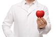 © New Africa - Doctor holding red heart on white background, closeup. Cardiology concept