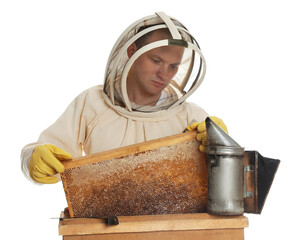 Wall Mural - Beekeeper in uniform taking frame with honeycomb out of wooden hive on white background