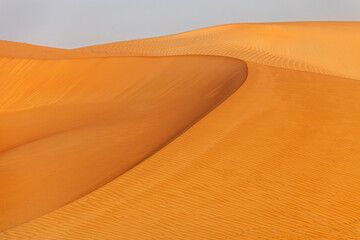 Wall Mural - Natural landscape of the orange color sand dunes in the desert in Abu Dhabi