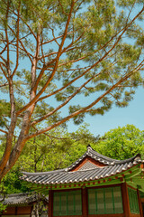 Poster - Summer of Jongmyo Shrine in Seoul, Korea