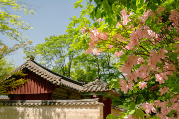 Wall Mural - Spring of Jongmyo Shrine in Seoul, Korea