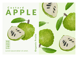 Custard Apple packaging design templates, watercolour style vector illustration.