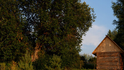 Wall Mural - Beautiful rustic summer landscape. Old wooden log houses. Vologda region