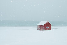 Red Cabin In Snow