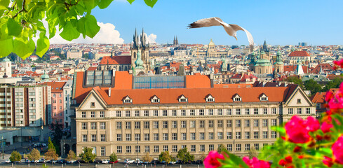 Wall Mural - View of Prague from above