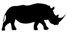 Rhinoceros Black Silhouette, On White Background, Isolated