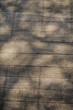 Ombres d'arbres sur un sol texturé