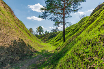 Wall Mural - Grassy hills in spring.