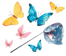 Watercolor Butterflies And Net. Multicolored Butterflies On A White Background