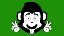 Loop Animation Of The Face Of A Cartoon Monkey Making The Classic Love And Peace Or V Victory Gesture With His Hands With His Tongue Out, Drawn In Black And White. On A Green Chroma Key Background