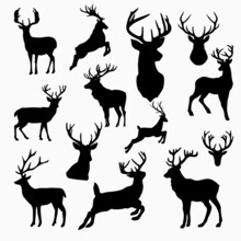 Pack Of Three Deers Vector Silhouette Illustration Isolated On White Background