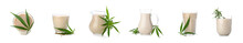 Set Of Glasses And Jugs With Healthy Hemp Milk On White Background