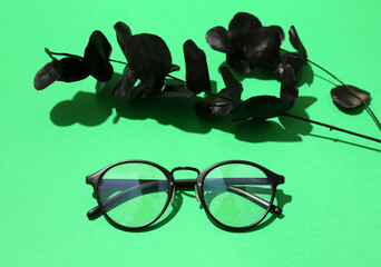 Stylish eyeglasses with painted eucalyptus branch on green background