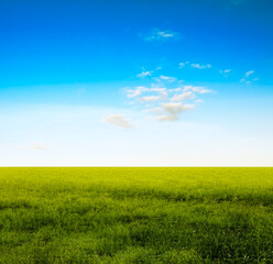 Wall Mural - beautiful summer fields