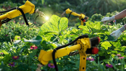 Leinwandbilder - Artificial intelligence. Smart robotics analysis leaf and foliar fertilization and pollination of fruits vegetables. Detection spray chemical. Agriculture farming technology futuristic with robot.
