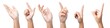 © กรบุรษ วรดี - Set of Woman hand isolated on white background.