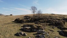 Bare Trees, Plants, And Various Rocks On A Grassy Hill With A Trail Leading Towards An Old House During A Bright Sunny Day In Lessinia, Italy, Wide View Panning To The Right.