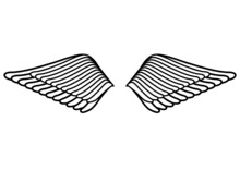 Wings.Simple Design.