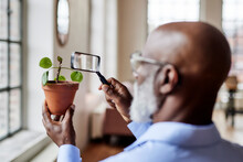 Scientist Analyzing Potted Plant With Magnifying Glass At Home