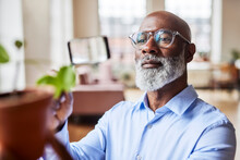Scientist With Eyeglasses Examining Plant At Home
