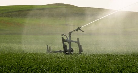 Sticker - Closeup of Guns Sprinkler Irrigation System Watering Wheat Field