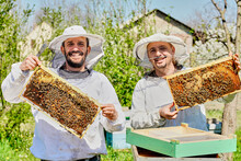 Happy Beekeepers Wearing Protective Suit Showing Honeycomb Frame At Farm
