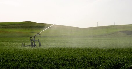 Wall Mural - Guns Sprinkler Irrigation System Watering Wheat Field