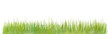 © Маргарита Шевчишена - Abstract grass watercolor background texture