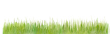 Abstract Grass Watercolor Background Texture