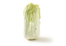 Chinese Cabbage With White Background