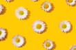Daisy on a yellow background pattern