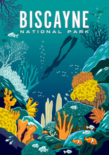 Detailed Vector Illustration Of An Underwater Coral Reef With Fishes, Diver And Colorful Corals In The Background. Biscayne National Park Travel Poster. Handmade Drawing Vector Illustration.
