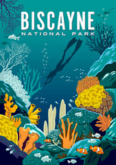 Detailed vector illustration of an underwater coral reef with fishes, diver and colorful corals in the background. Biscayne National Park travel poster. Handmade drawing vector illustration.