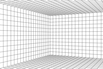 Wall Mural - 3d digital two points perspective grid room. black mesh on white background. empty indoor studio fra